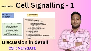 Cell Signalling  Cell Signalling CSIR NET  Cell signalling Pathway  Types of Cell signalling [upl. by Henrion]