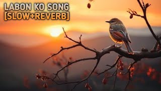 Labon Ko Labon Se Song 🥀 Slowed  Reverb 😘 New Viral Song  song songs music viral [upl. by Merwin]