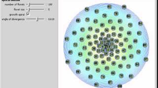 Phyllotaxis Explained [upl. by Nehcterg700]