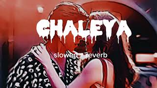 chaleya full slowed  reverb song  jawan [upl. by Nosille]