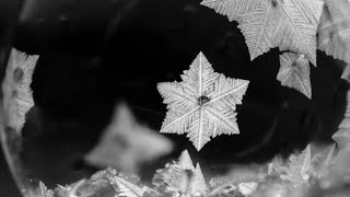 See Snowflakes and Crystals Up Close [upl. by Mccahill91]