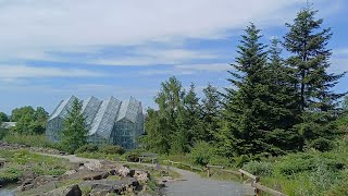 Botanischer Garten der Universität Osnabrück 15052024 [upl. by Aynnat301]