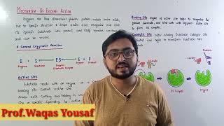 Mechanism of Enzyme action  Enzymology [upl. by Ilegna]