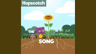 The Photosynthesis Song [upl. by Tomkins]