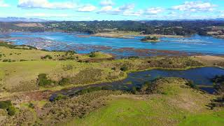 Elkhorn Slough [upl. by Heisser]