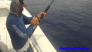 Port Canaveral Florida Offshore Fishing Wahoo Dolphin Yellowfin Tuna 2012 [upl. by Syned]