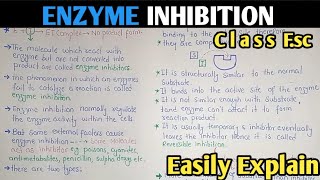 Enzyme Inhibition  Competitive And Non Competitive Inhibition  Class 11 Biology [upl. by Aspasia677]