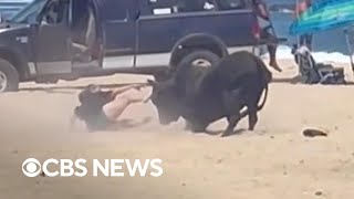 Woman attacked by bull on Mexico beach after ignoring warnings [upl. by Corwin]