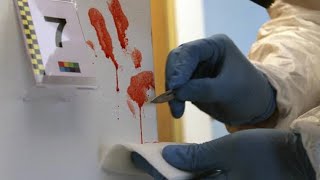 Química Forense hematología y toxicología [upl. by Euqinay668]