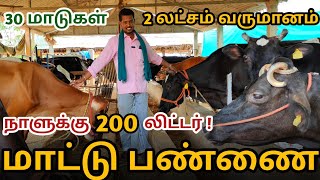 ஒரு நாளைக்கு 7000 ரூபாய்க்கு பால் விற்பனை பன்றேன் 🐮🐄  மாத வருமானம் 2 லட்சம் [upl. by Brower256]