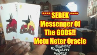 How To Read The METU NETER ORACLE  8 SEBEK Messenger Of The Gods [upl. by Kifar835]