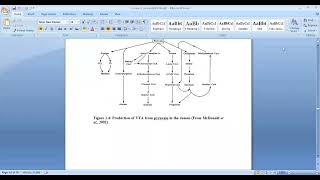 Carbohydrate digestion in ruminants [upl. by Asik]