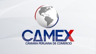 CAMEX PERU  Rubén Bermúdez [upl. by Fiester]