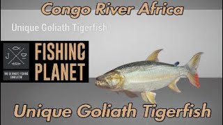 Fishing Planet  Unique Goliath Tigerfish Congo River Africa [upl. by Ahsilat995]