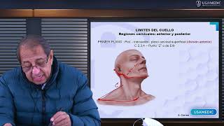 ANATOMÍA DE LA REGIÓN DEL CUELLO  Usamedic [upl. by Varini]