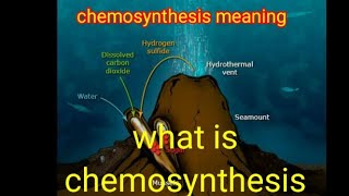 chemosynthesis  chemosynthesis definition chemosynthesis in hindi chemosynthesis [upl. by Hackney]