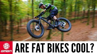 Are Fat Bikes Cool [upl. by Christel]