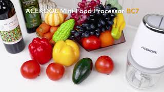 ACEKOOL Blender BC7 600mL Mini Food Processor for Vegetables Meat Fruits [upl. by Donetta]