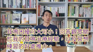 1358耳鳴困擾可大可小！回答觀眾關於我的耳鳴治療經驗，以及冥想練習的好處推介。 [upl. by Ahseret]