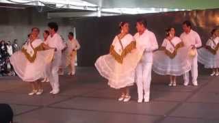 Ballet Folklórico Vini cubi  quotEl caballitoquot [upl. by Rosita]