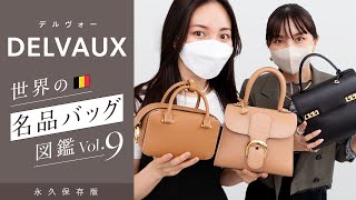 名品バッグ図鑑vol9📚 DELVAUXデルヴォー名品バッグ「ブリヨンampタンペートampクールボックス」 レビュー🔍収納力や使いやすさを徹底レビュー｜バイマ購入品紹介 [upl. by Nnylaehs]