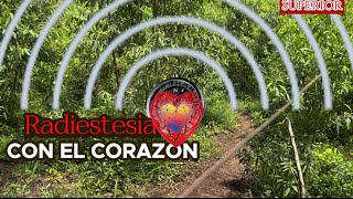 “El Vínculo Sagrado Radiestesia y el Corazón ♥️ [upl. by Bevers]