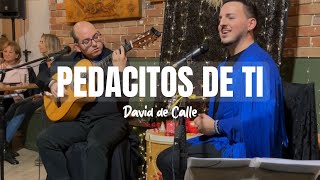 Pedacitos de ti  Cover David de Calle [upl. by Balbur]