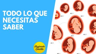 EMBARAZO SEMANA A SEMANA DESARROLLO FETAL DESDE LA SEMANA 1 A LA 40 EN EL VIENTRE MATERNO [upl. by Male]