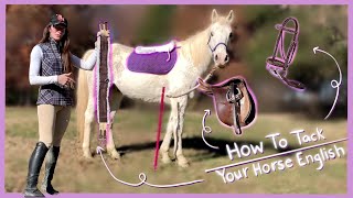 HOW TO TACK YOUR HORSE ENGLISH  Horses 101 Basics [upl. by Aniham140]