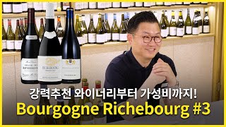 Engsub Richebourg the core region of Burgundy VosneRomaneeRichebourg 3편 [upl. by Eelasor]