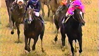 2000 Breeders Cup Classic  Tiznow  Post Race amp Interviews [upl. by Drofiar443]