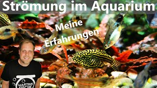 STRÖMUNG im Aquarium  Meine Erfahrungen [upl. by Heller728]