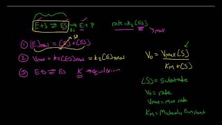 Michelis Menten Kinetics [upl. by Esaele]