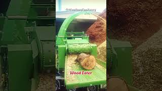 Insane Wood Chipper Turns Trees into Dust in Seconds woodprocessingsawdustmobilemachine [upl. by Anairda]