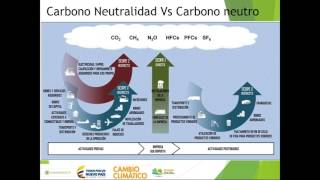 Decreto 926 de 2017 impuesto nacional al carbono de Colombia [upl. by Kosiur]