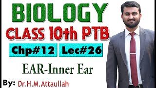 Inner ear  Chapter  12  Biology Class 10th  Lec 26 [upl. by Surad557]