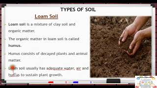 Loam soil [upl. by Aleik]