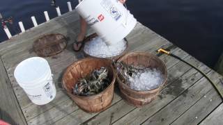 October Crabbing and Feasting in Ocean City MD [upl. by Eimmat]