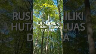 Rusia Memiliki Hutan Terluas di Dunia rusia hutan [upl. by Leopoldine29]