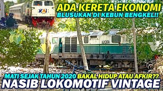 BAKAL HIDUP ATAU AFKIR Kondisi TERBARU Lokomotif BB 301 VINTAGE LEGENDARIS di Bengkel Kereta Jogja [upl. by Nomed659]