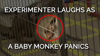 This baby monkeys panicked screams were met with an experimenter’s heartless laughter 😡 [upl. by Cairistiona101]