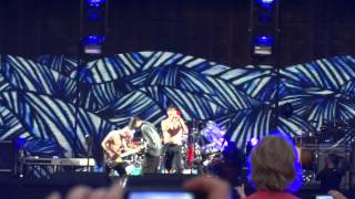 Red Hot Chili Peppers  Under The Bridge liveGoffertpark Nijmegen [upl. by Tuckie724]