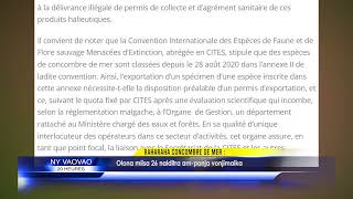 INFO K MADA Concombre de mer 26 MARS 2024 BY KOLO TV [upl. by Mccandless]