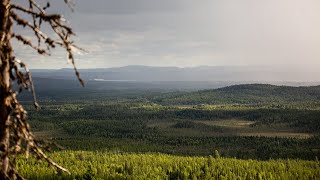 Storforsen Gallejaur Svartliden Knösarna  Naturreservat i Västerbotten amp Norrbotten [upl. by Petersen]