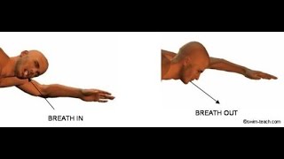 Basic Front Crawl Breathing Technique [upl. by Yantruoc]