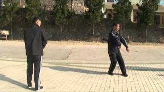 MasterQian Zhaohong  Xin Yi Liu He Quan style In Chinavideo1m4v [upl. by Haila751]