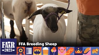 FFA Breeding Sheep – Fair 2023 [upl. by Aissirac]