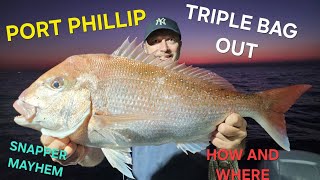 SNAPPER FISHING  PORT PHILLIP  TRIPLE BAG OUT snapper snapperfishing portphillipbay [upl. by Llenrap864]