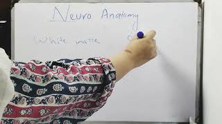 NeuroanAtomy  Introduction [upl. by Cash]