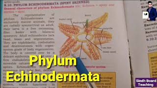 Phylum Echinodermata XI Biology [upl. by Latif]